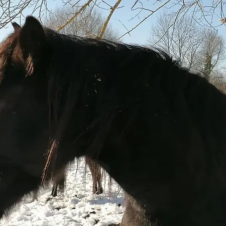 Les Merens Baulou Esterno foto